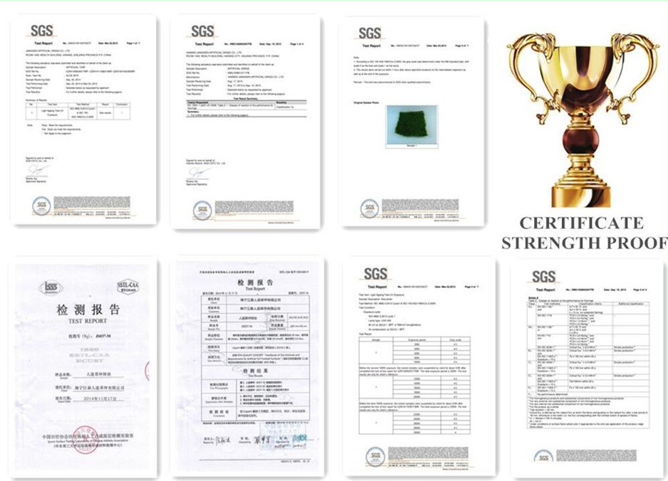  jiangsen artificial grass certification.jpg