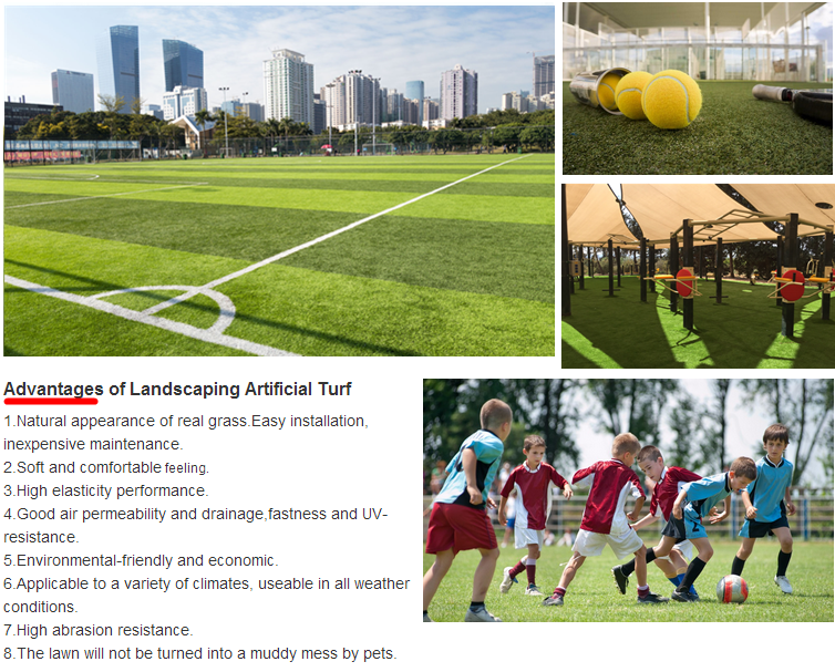 العشب الاصطناعي عالية الجودة. png