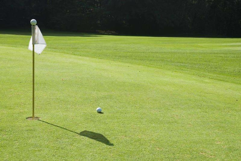 العشب الاصطناعي لوضع الأخضر Artificial Grass for Putting Green