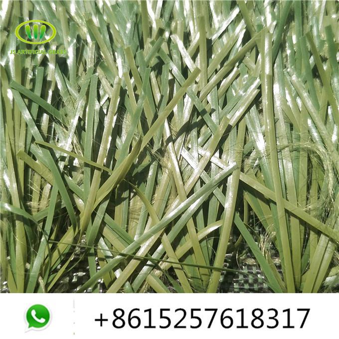كرة القدم grass02.jpg