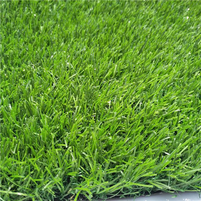 turf yard grass03.jpg