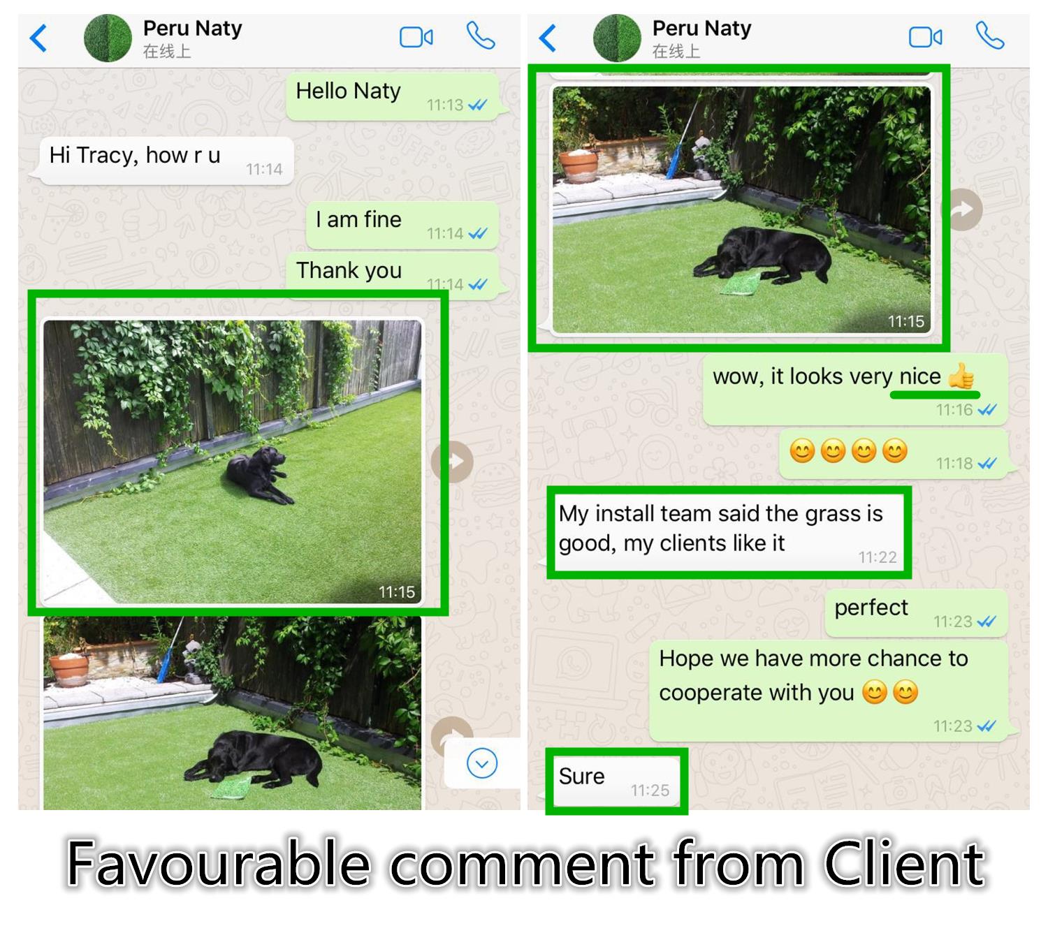 Landscaping Grass artifical turf.jpg