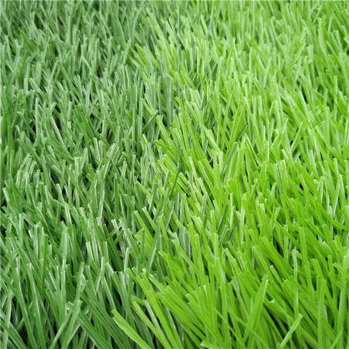 Football Artificial Grass