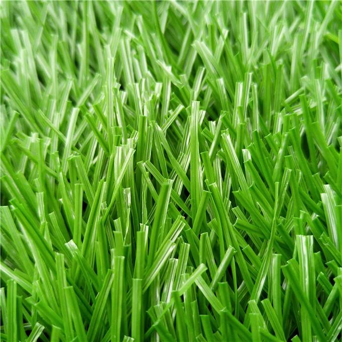 Football Artificial Grass