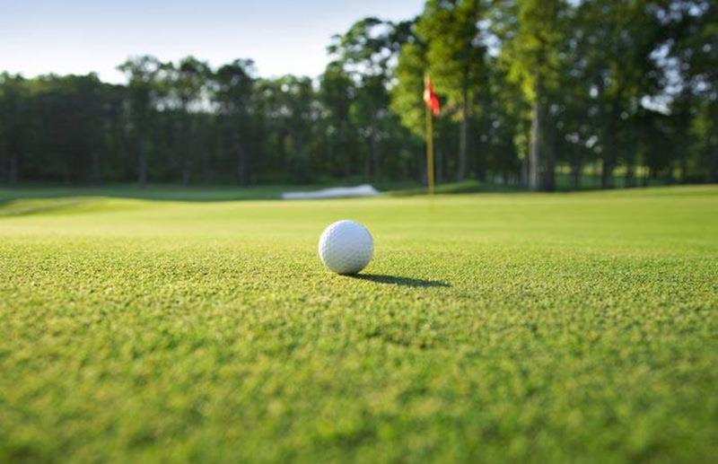 artificial grass golf putting green