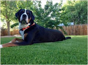 العشب الاصطناعي السكنية Residential Artificial Turf Grass