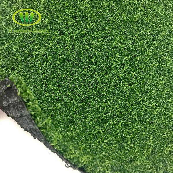 Home Putting Green