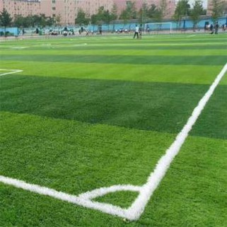 العشب الاصطناعي لملعب كرة القدم