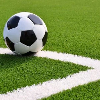 العشب الاصطناعي ملعب العشب