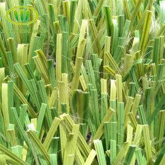 العشب لملاعب كرة القدم