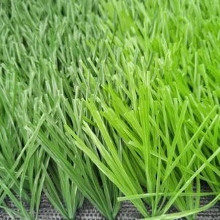 عالية الجودة الحدث العشب