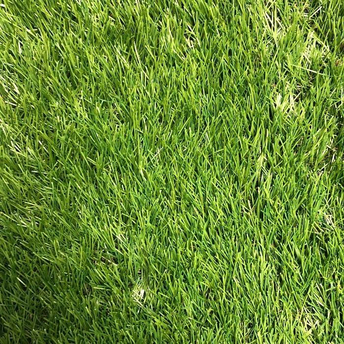 Drainage Artificial Turf
