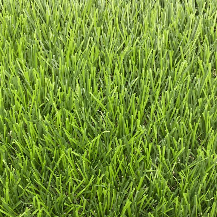 Green Plastic Turf