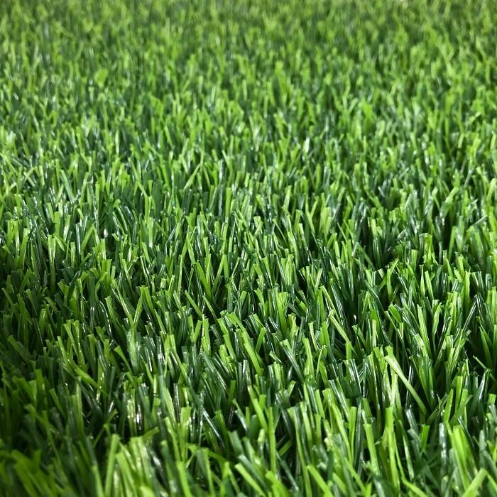 Living Room Artificial Turf