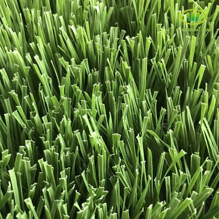 Transparent Football Grass
