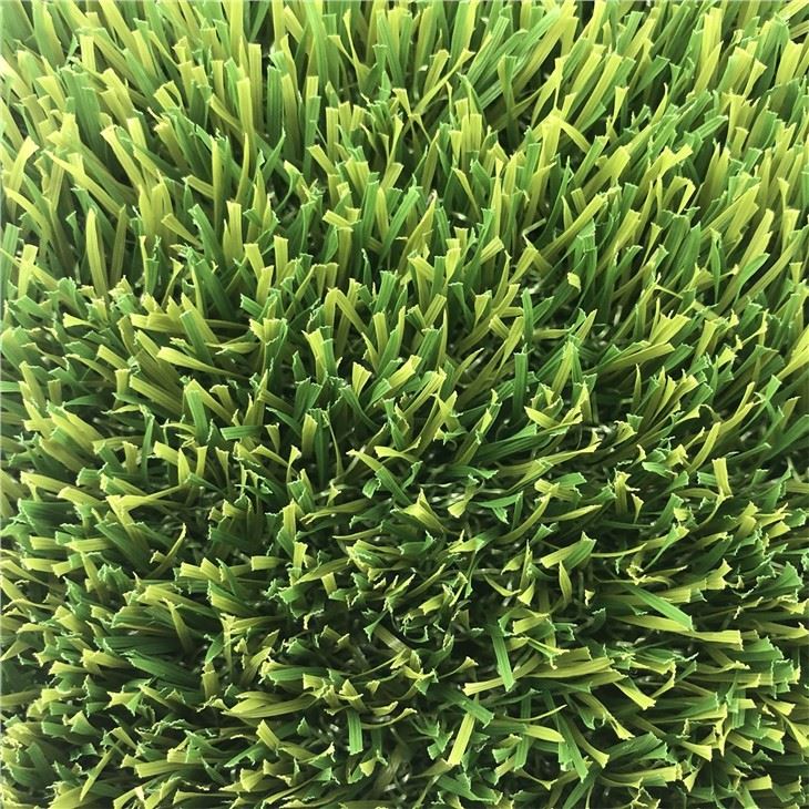 High Quality Landscape Grass