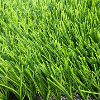 نجم كرة القدم العشب لكرة القدم الميدان