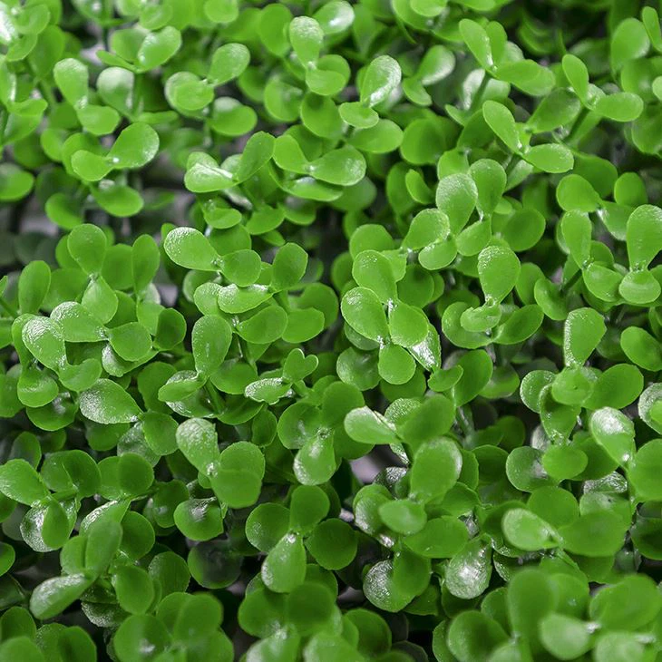 Artificial Grass Wall Fence