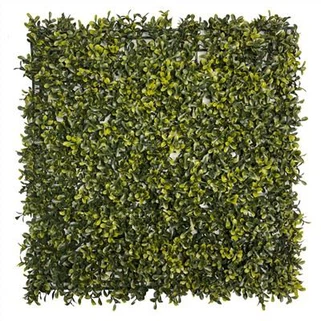 الاصطناعية التحوط الاصطناعية Boxwood