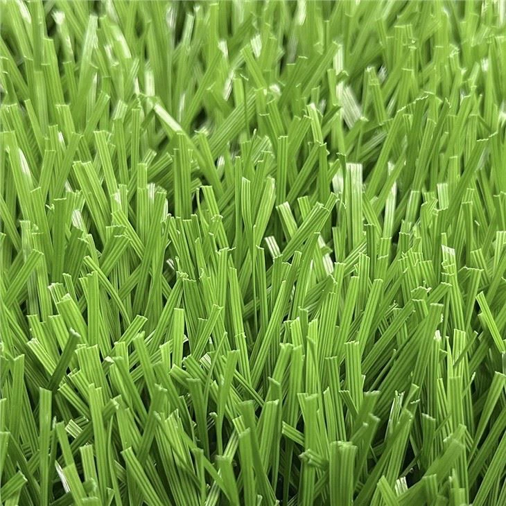 Sports Field Turf
